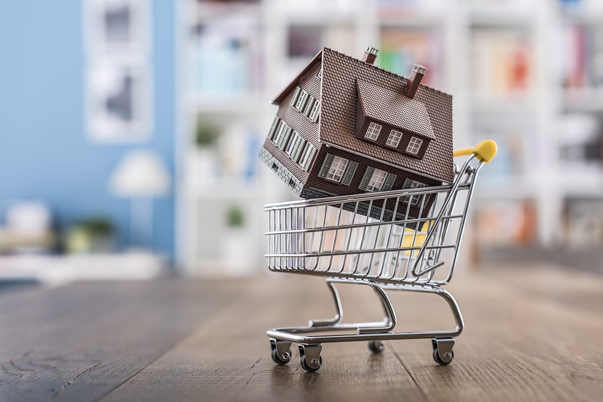Buying a House - Shopping Cart