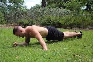 Low Plank Lateral Reach 2