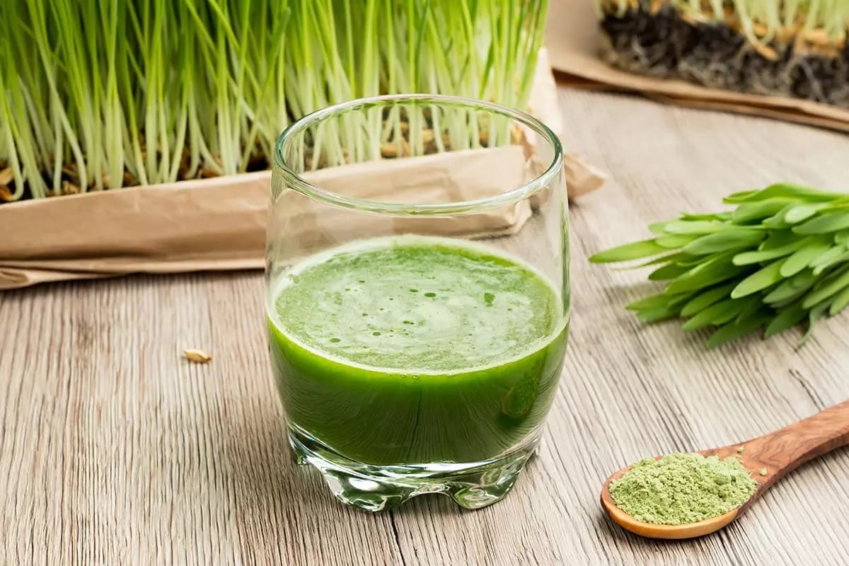 The Main Principles Of Organifi Green Juice - Superfood Supplements 