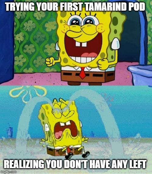Spongebob Tamarind Meme