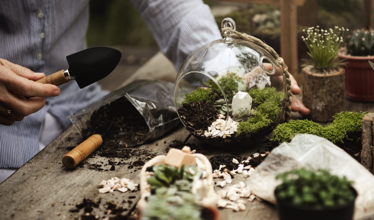 Adding Soil To Terrarium