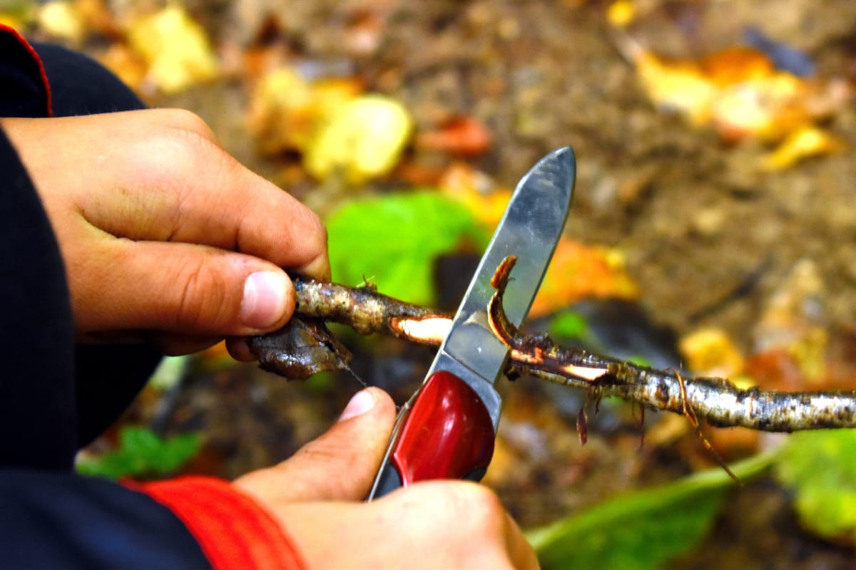 Cleaning a tree branch