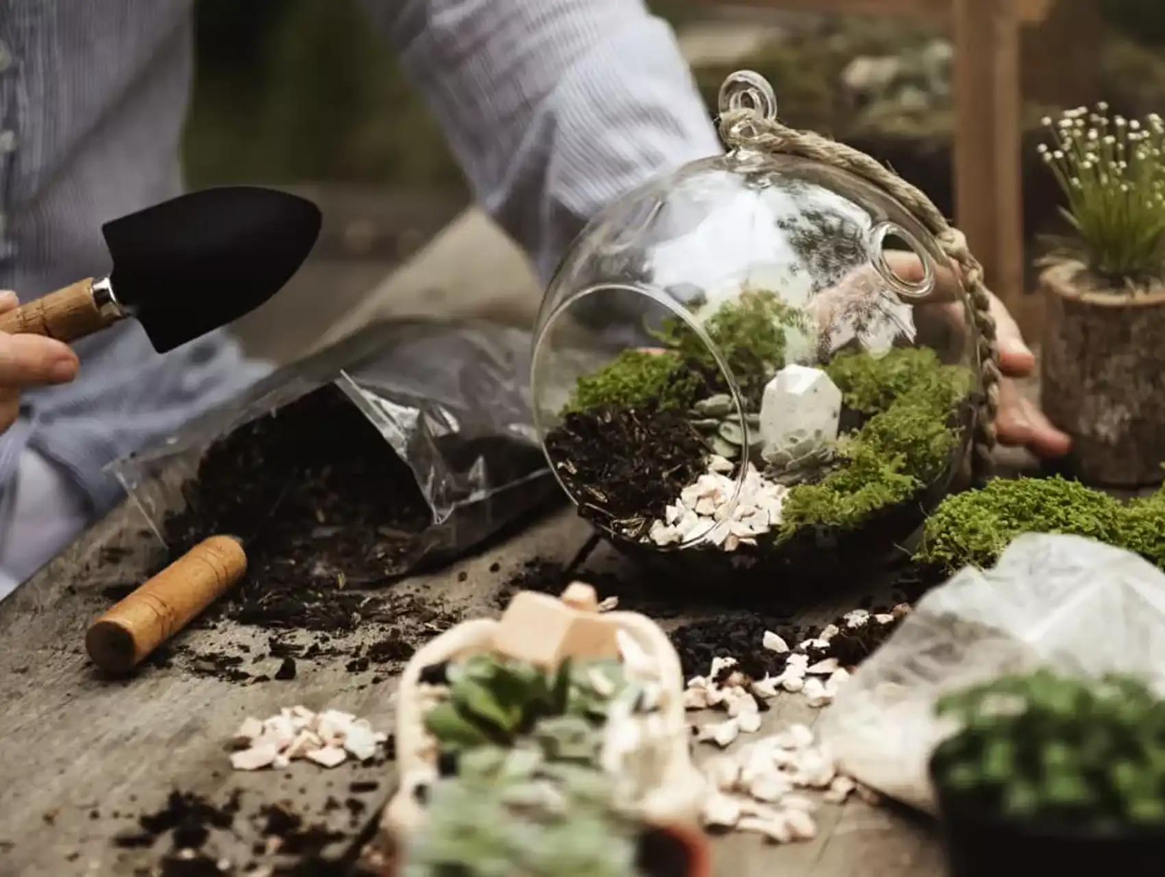 Person assembling a glass diy terrarium with moss, soil, and plants