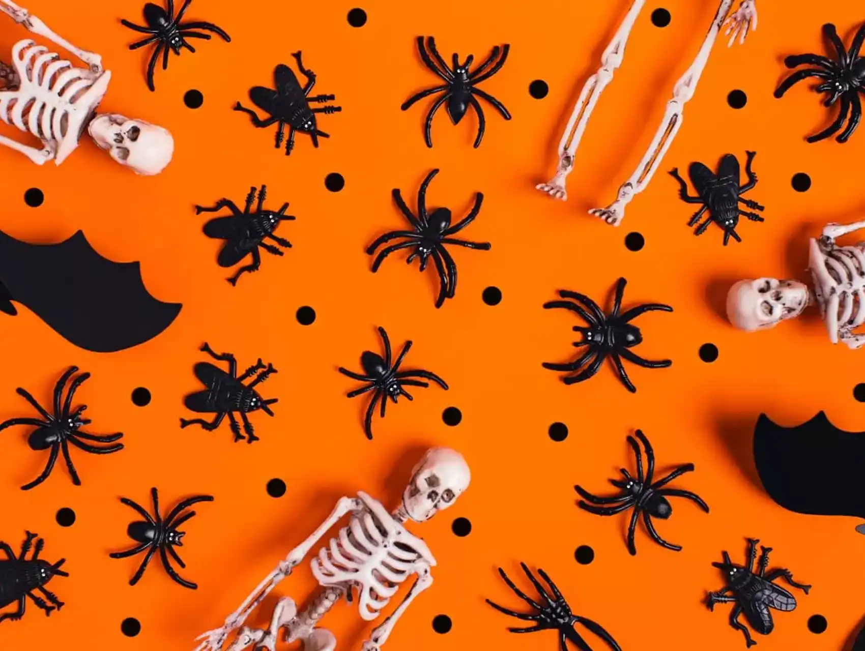Plastic skeletons, spiders, and bats for spooky diy terrarium decorations