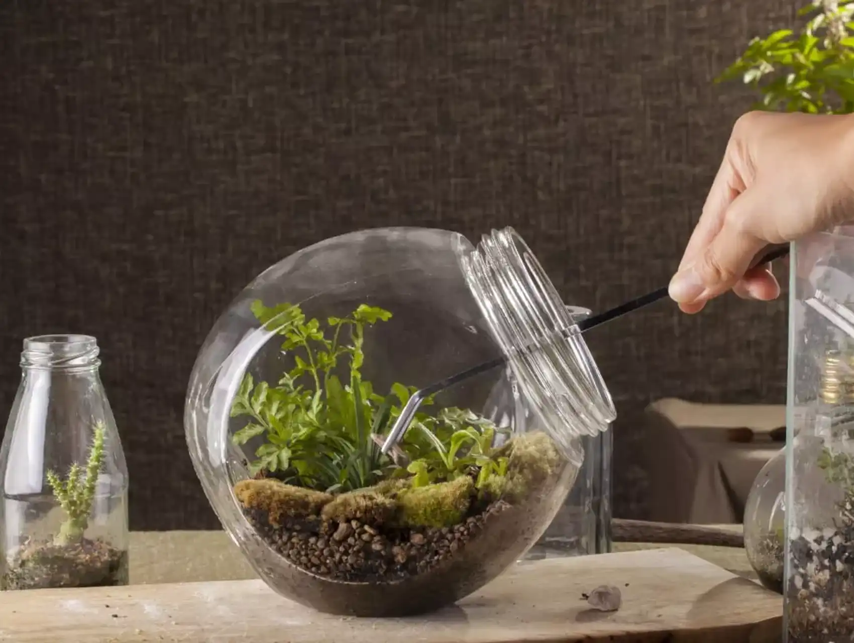 Hand using scissors to prune plants inside a glass diy terrarium