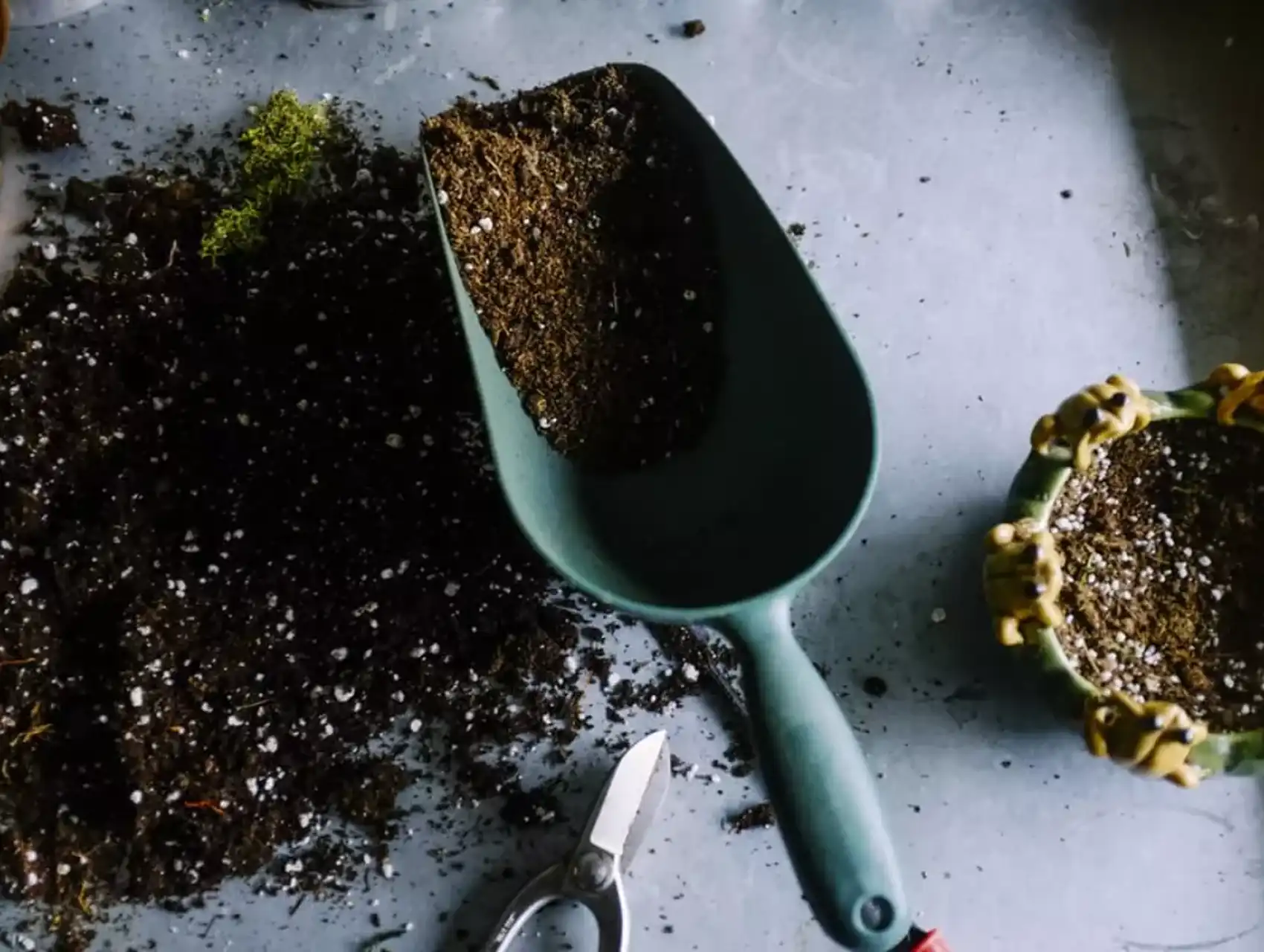 Soil, scoop, and gardening tools prepared for diy terrarium planting
