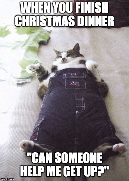 Fat Cat Meme