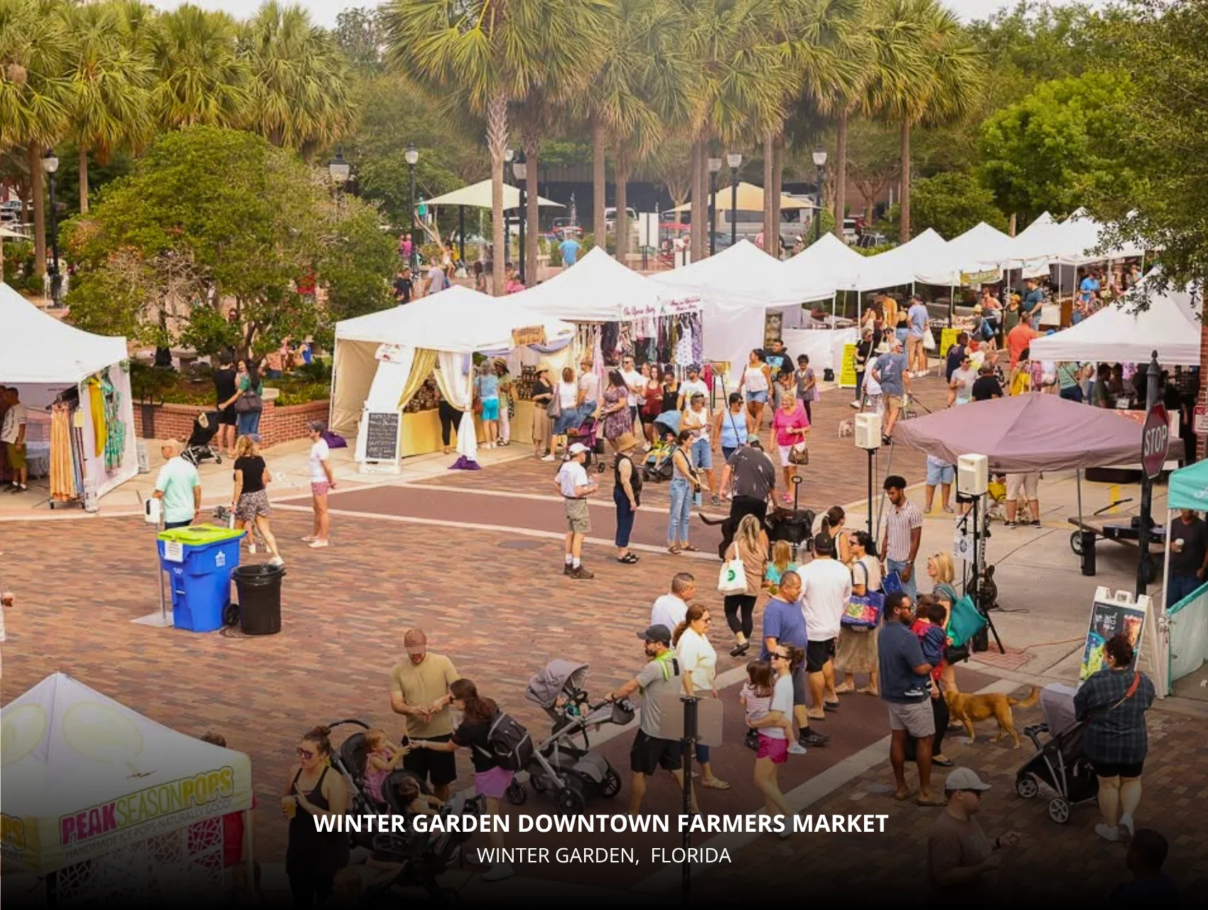Crowded Winter Garden Downtown Farmers Market with tents and palm trees – free things to do in Orlando