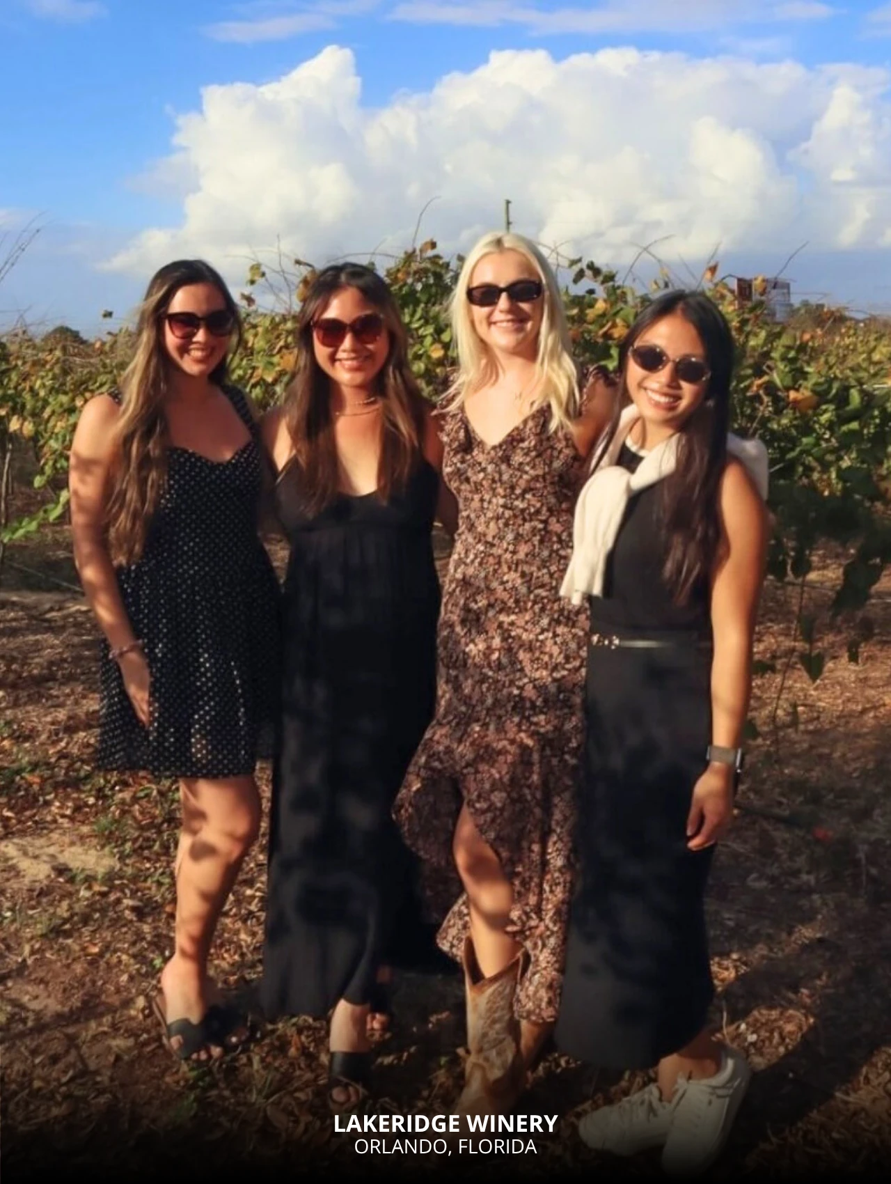 Group of friends at Lakeridge Winery vineyard – free things to do in Orlando