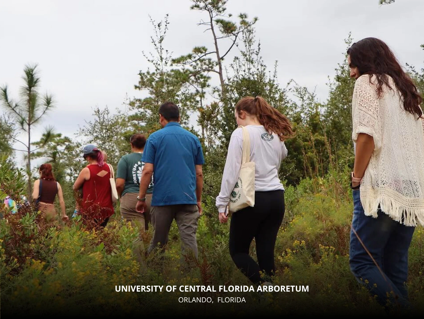 Group hike at the University of Central Florida Arboretum – free things to do in Orlando