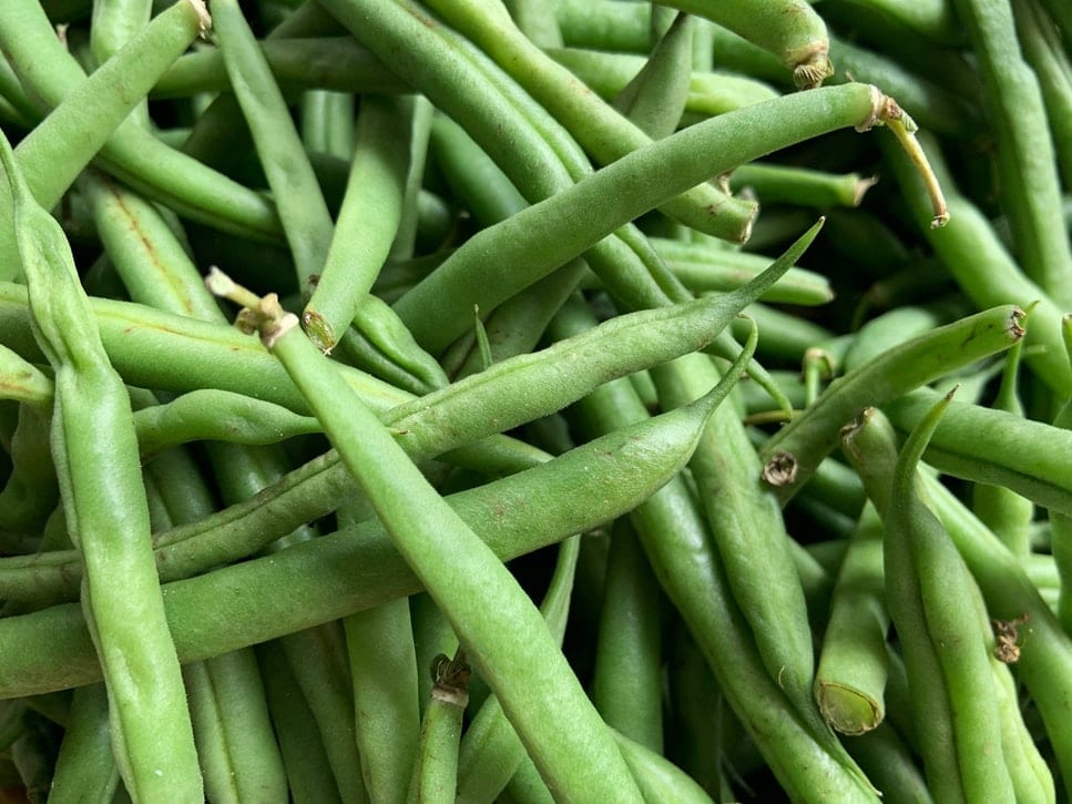 Green Beans at Farmer's Market