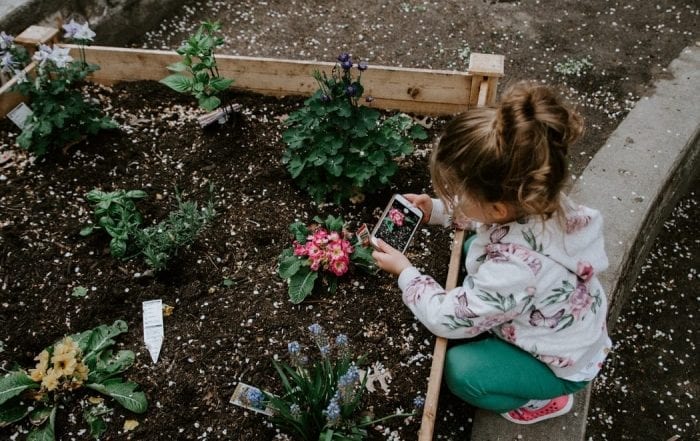 Little-Girl-Taking-Pictures-of-Garden-1