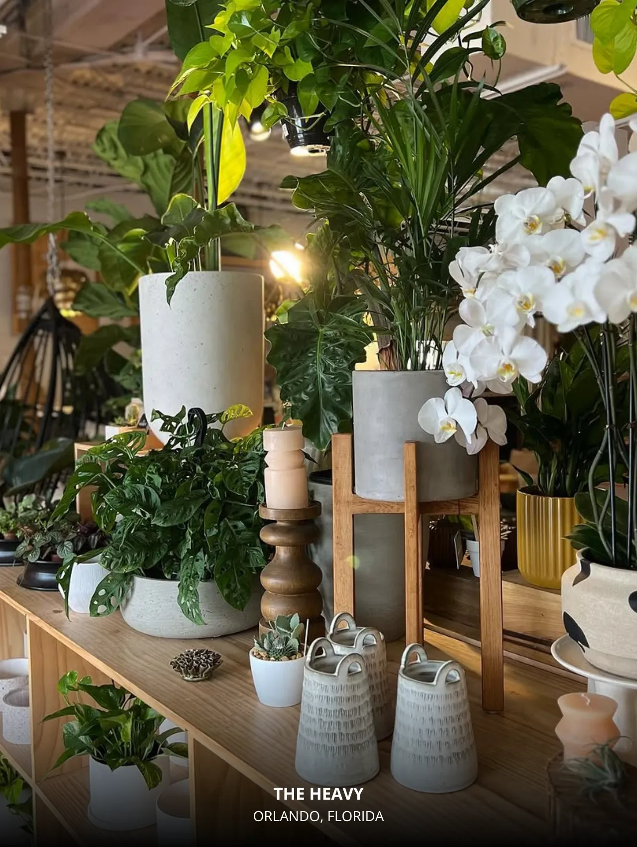 Indoor greenery and decorative display at The Heavy Orlando Florida featuring potted plants, orchids, and home décor accessories.
