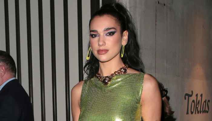 6 Dua Lipa Outfits You Can Recreate Right Now | Successible Life