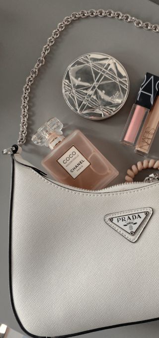 Top Luxury Mini Bags