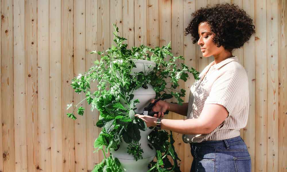 women inspecting some plants 