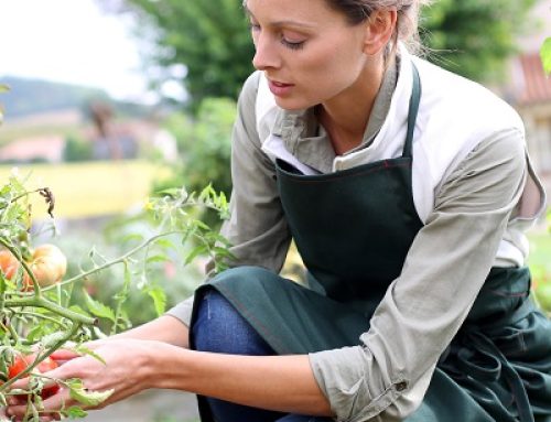 Food Garden: 5 Ways You Can Start Your Own At Home