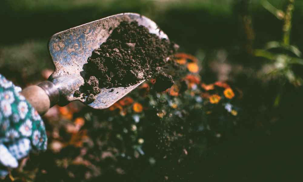 Person improving soil.