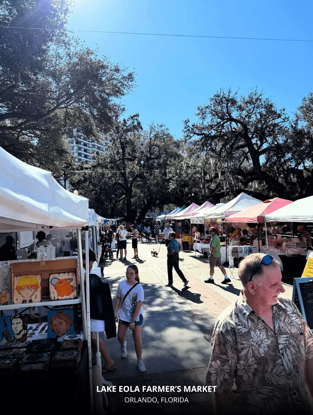Lake Eola Farmer’s Market – 17 Interesting and Exciting Things to Do in Orlando with Kids