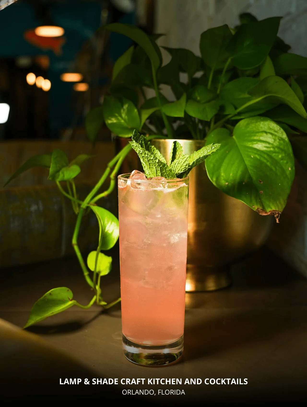 Refreshing pink cocktail with mint garnish at Lamp & Shade Craft Kitchen — featured in restaurants with great cocktails in Orlando.