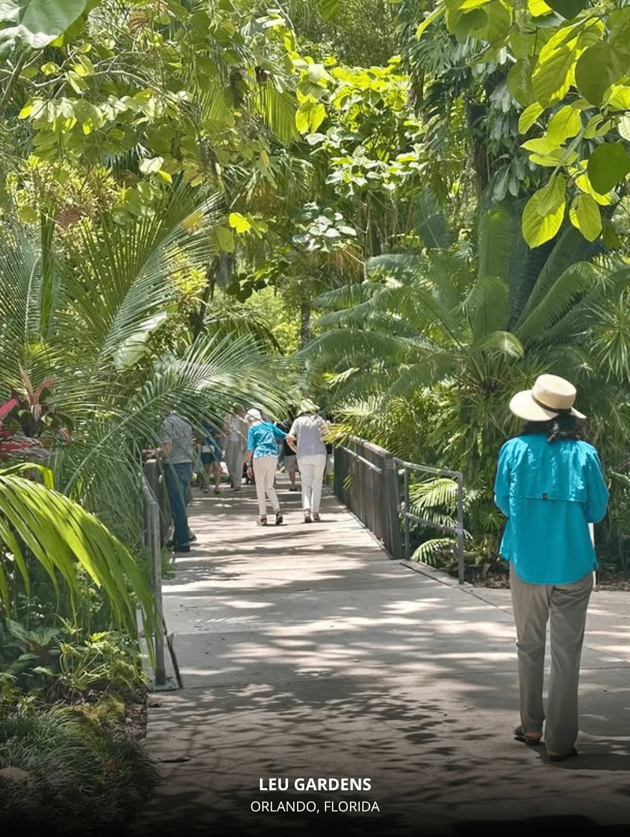 Visitors exploring the lush walkways at Leu Gardens | Title: 17 Interesting and Exciting Things to Do in Orlando with Kids