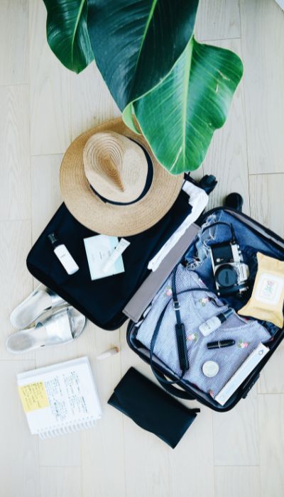 Travel Organizer Essentials 
