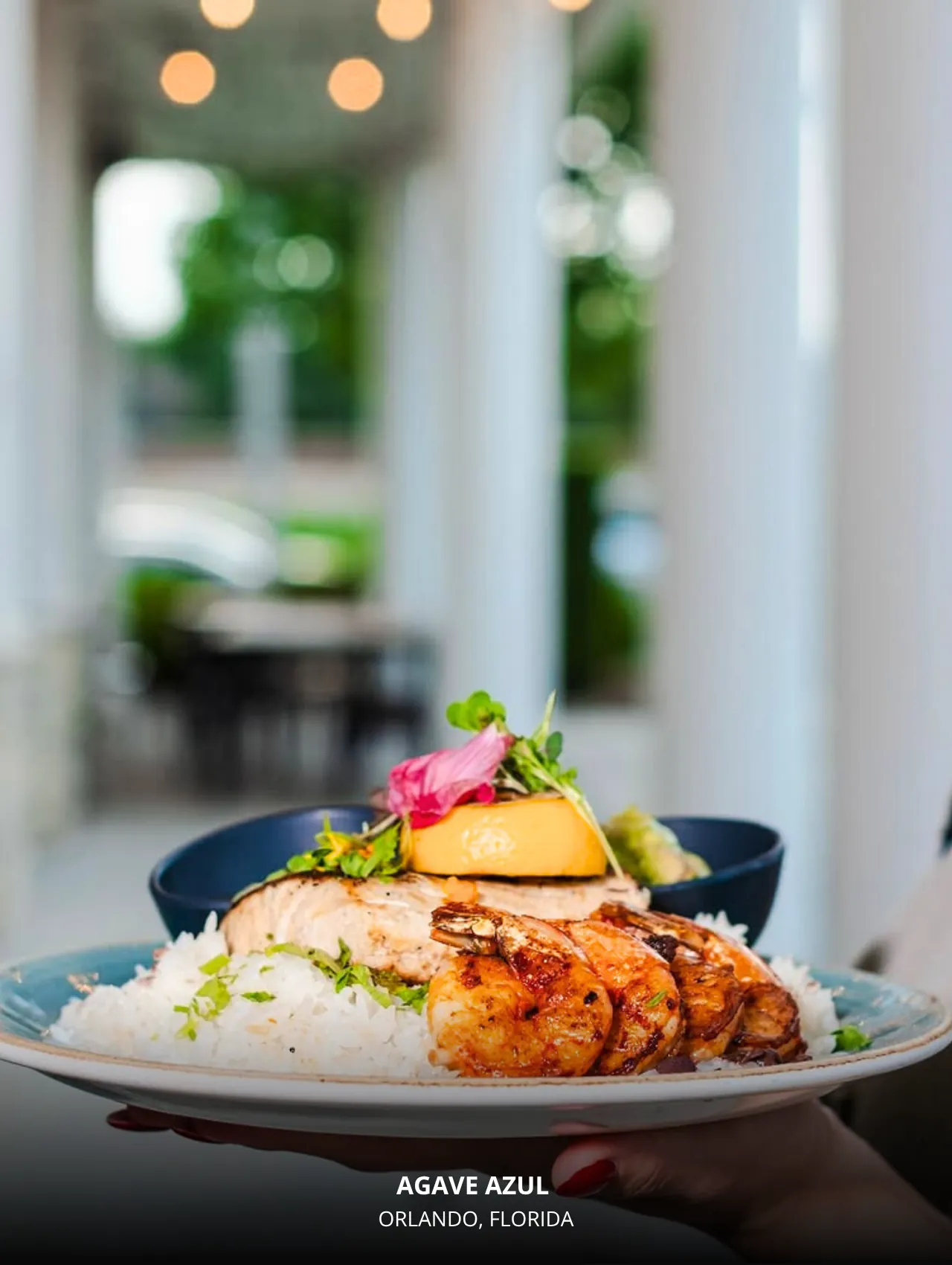 This view of Rosalind Avenue in Downtown Orlando captures the vibrant city life just steps from Lake Eola. Surrounded by trendy cafés and foodie spots, it’s a great starting point to explore some of the best restaurants in Orlando in 2025.