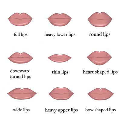 Makeup Basics, Face Shapes, Color and Types