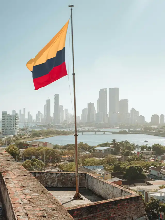 a flag on a pole