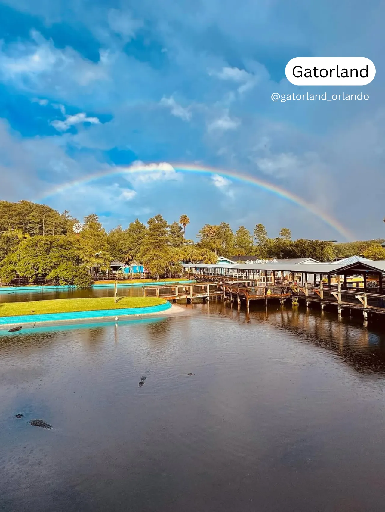 Boardwalk over the water at Gatorland with a rainbow in the sky, one of the best things to do in Orlando besides the theme parks.