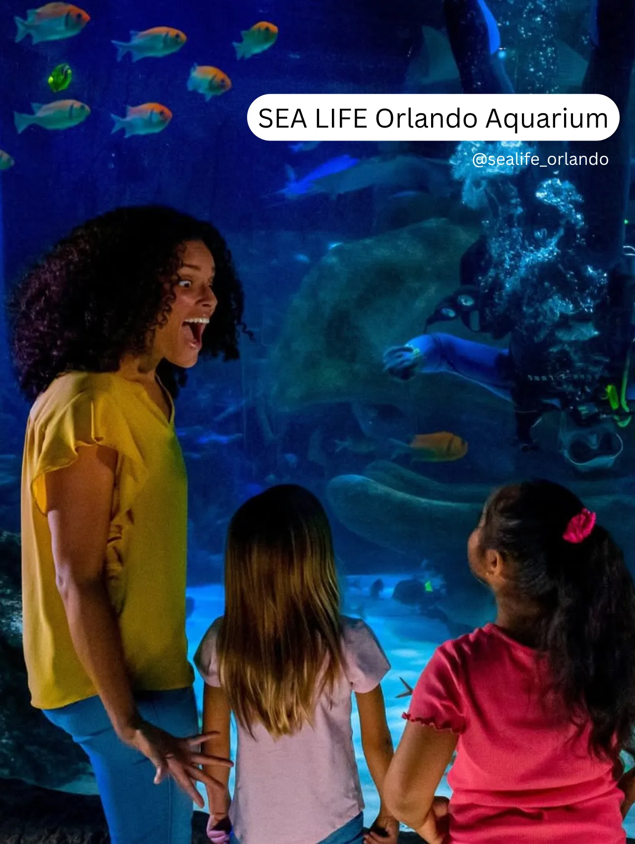 A mother and two young girls gaze in awe at colorful fish swimming in a large aquarium tank at SEA LIFE Orlando Aquarium.