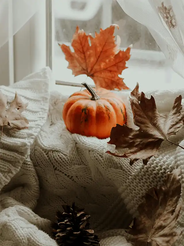 a pumpkin and leaves on a blanket