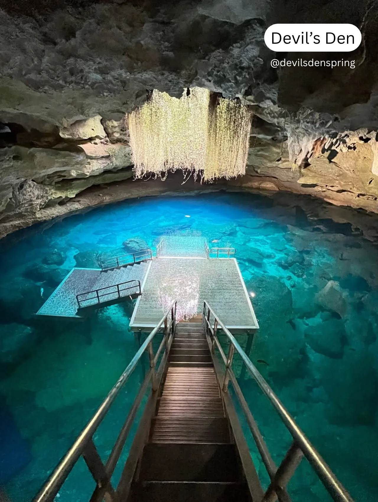 Underground view of Devil’s Den, one of the best springs in Florida, featuring crystal-clear water and natural rock formations.