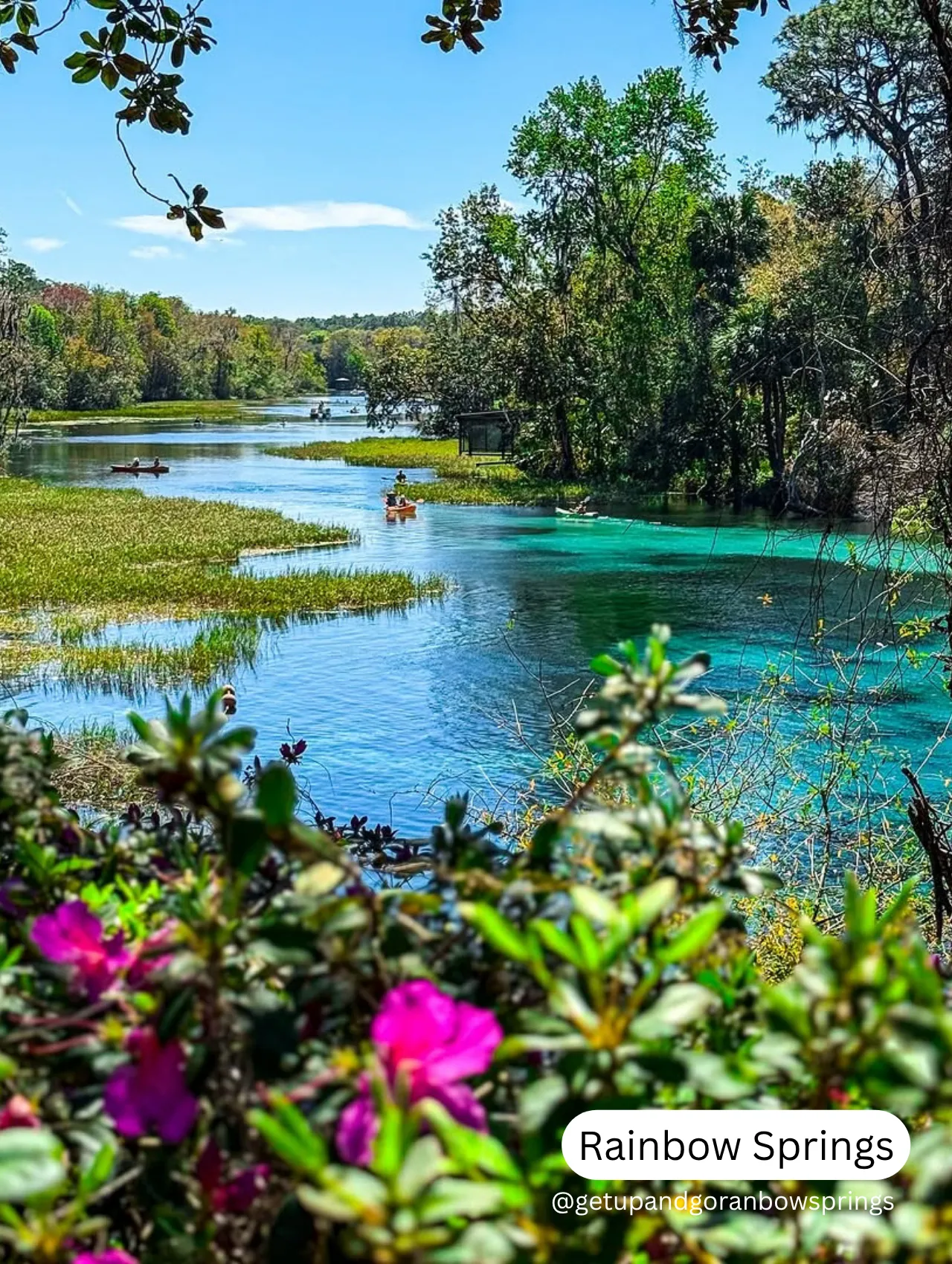 Scenic view of Rainbow Springs with kayakers paddling through crystal-clear waters surrounded by lush greenery and blooming flowers, one of the best springs in Florida for nature lovers.