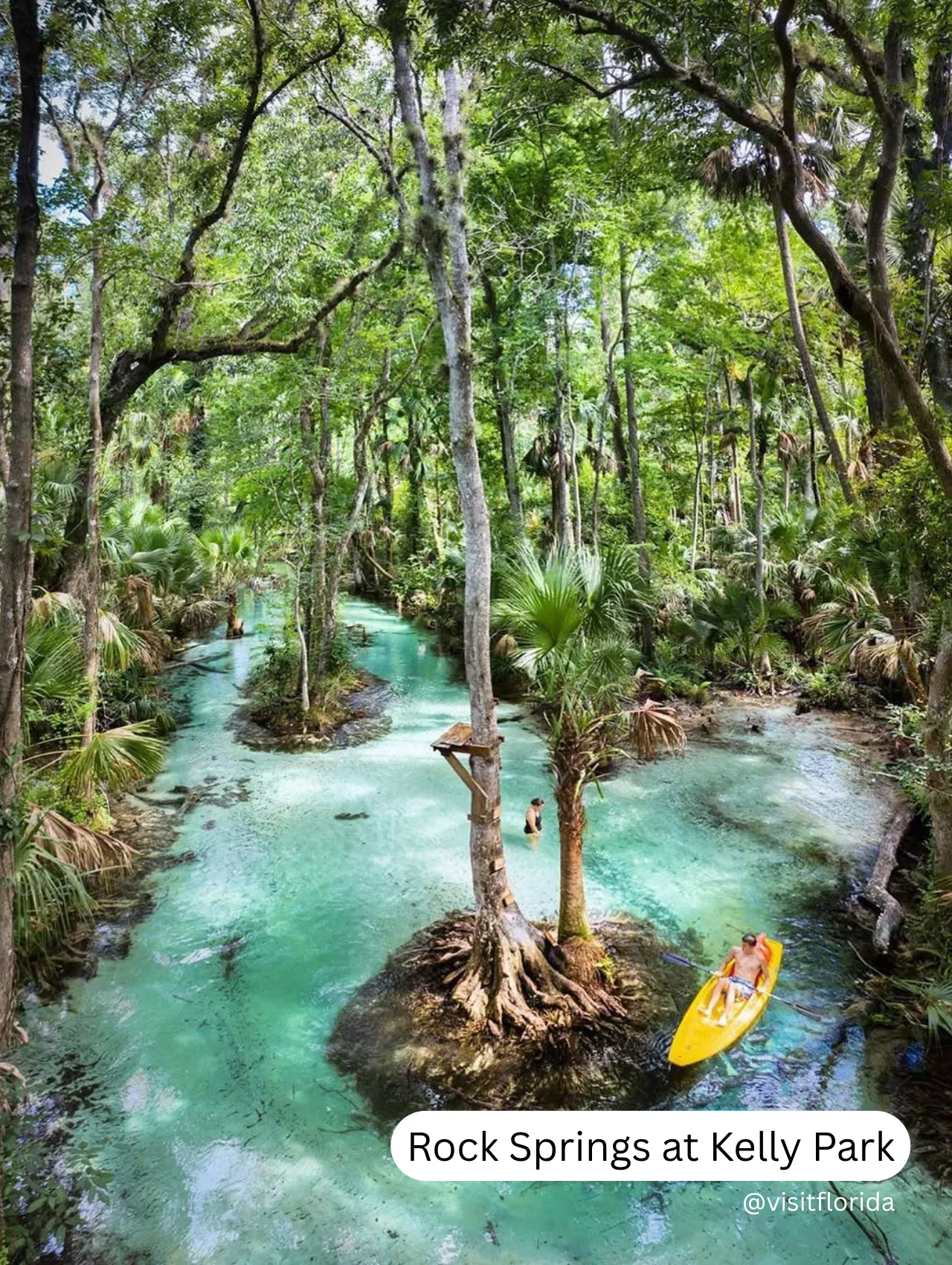 Aerial view of kayaker paddling through turquoise waters at Rock Springs in Kelly Park, one of the best springs in Florida surrounded by lush forest.