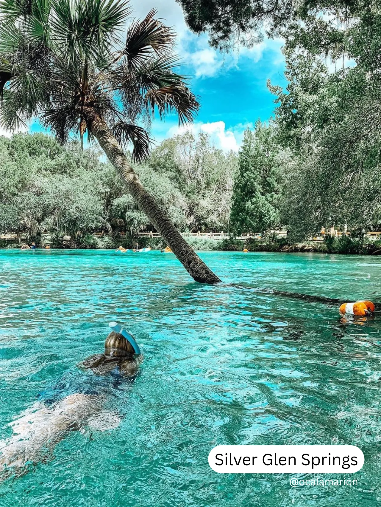 Woman snorkeling in the crystal-clear turquoise waters of Silver Glen Springs, one of the best springs in Florida.