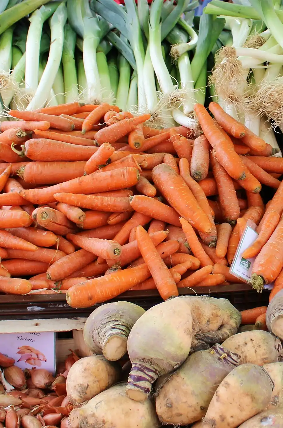 Fresh carrots, leeks, and root vegetables at a market – fall soup recipes ingredients