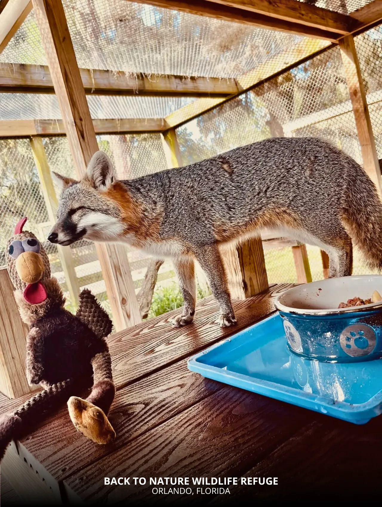Back to Nature Wildlife Refuge in Orlando Florida – Moving to Orlando Florida