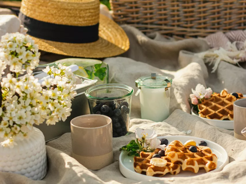 Go on a Picnic 1