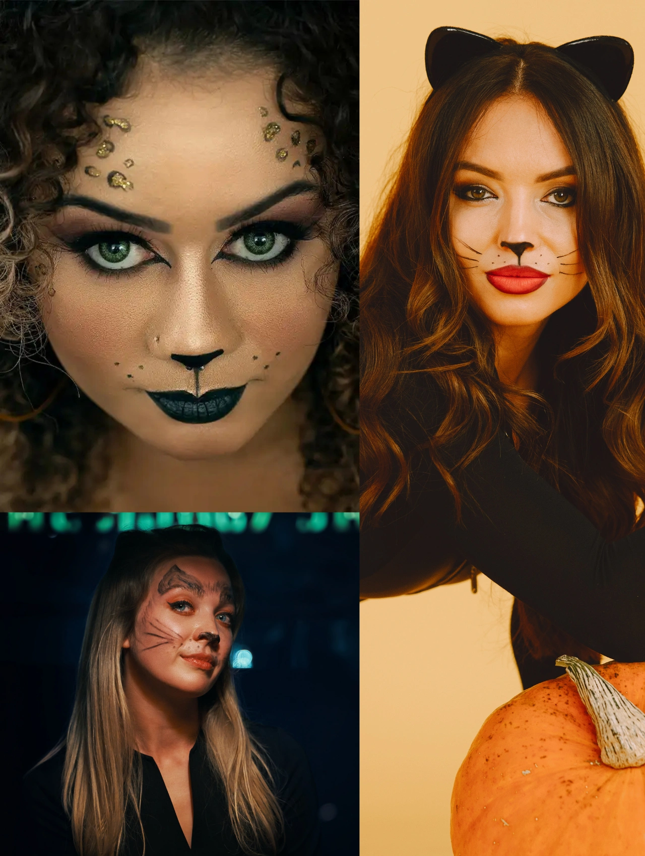 Diferentes estilos de maquillaje de gato con acabados artísticos, glitter y delineados intensos para Halloween.