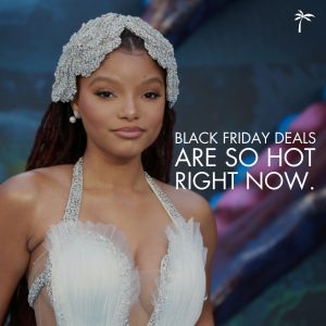 Black Friday Meme 2024 black friday deals are so hot right now. Halle Bailey Celebtiry