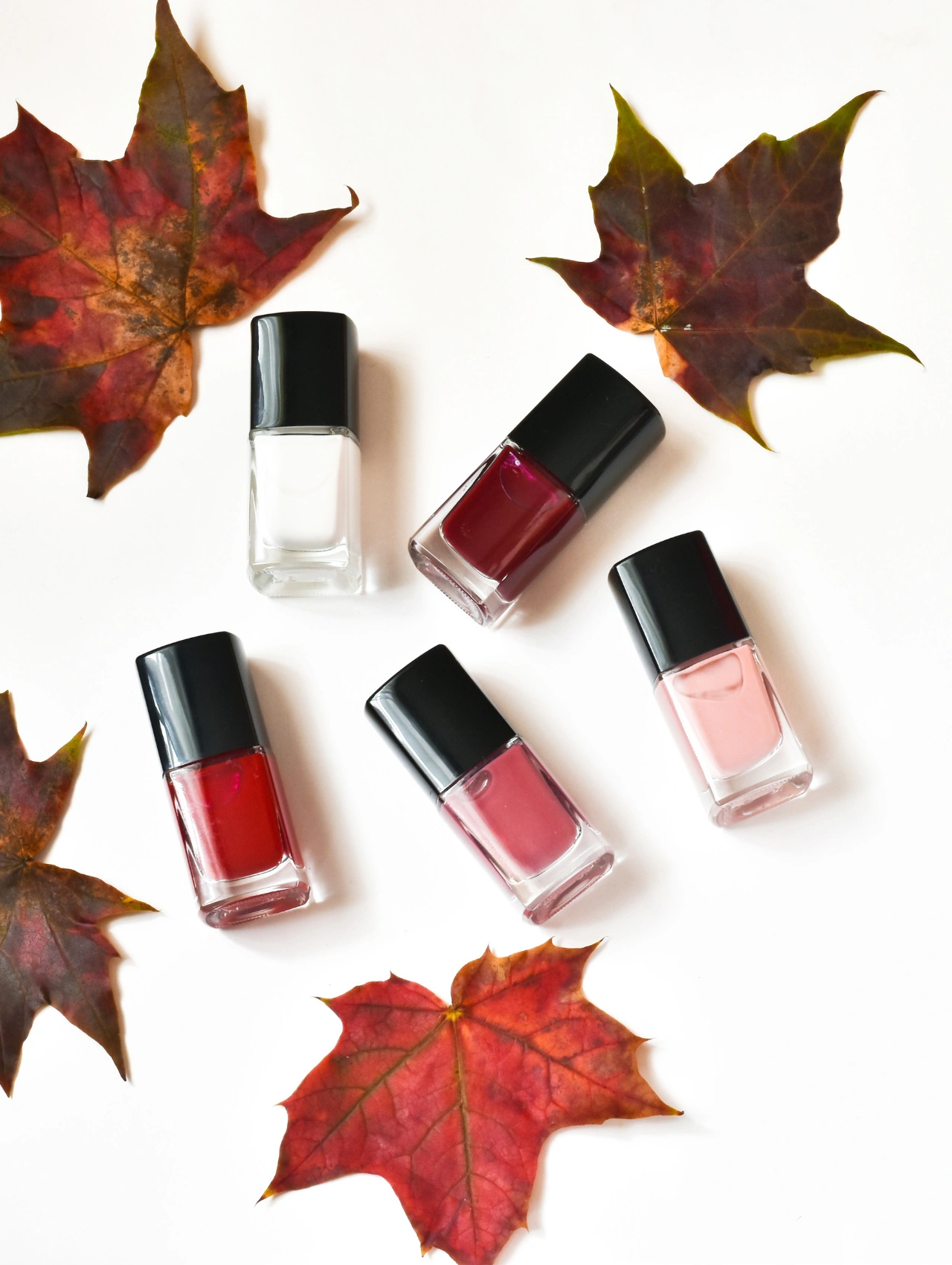 Fall nail polish shades in red, white, and burgundy surrounded by leaves, showcasing the perfect palette for the Guide to Thanksgiving Nails.
