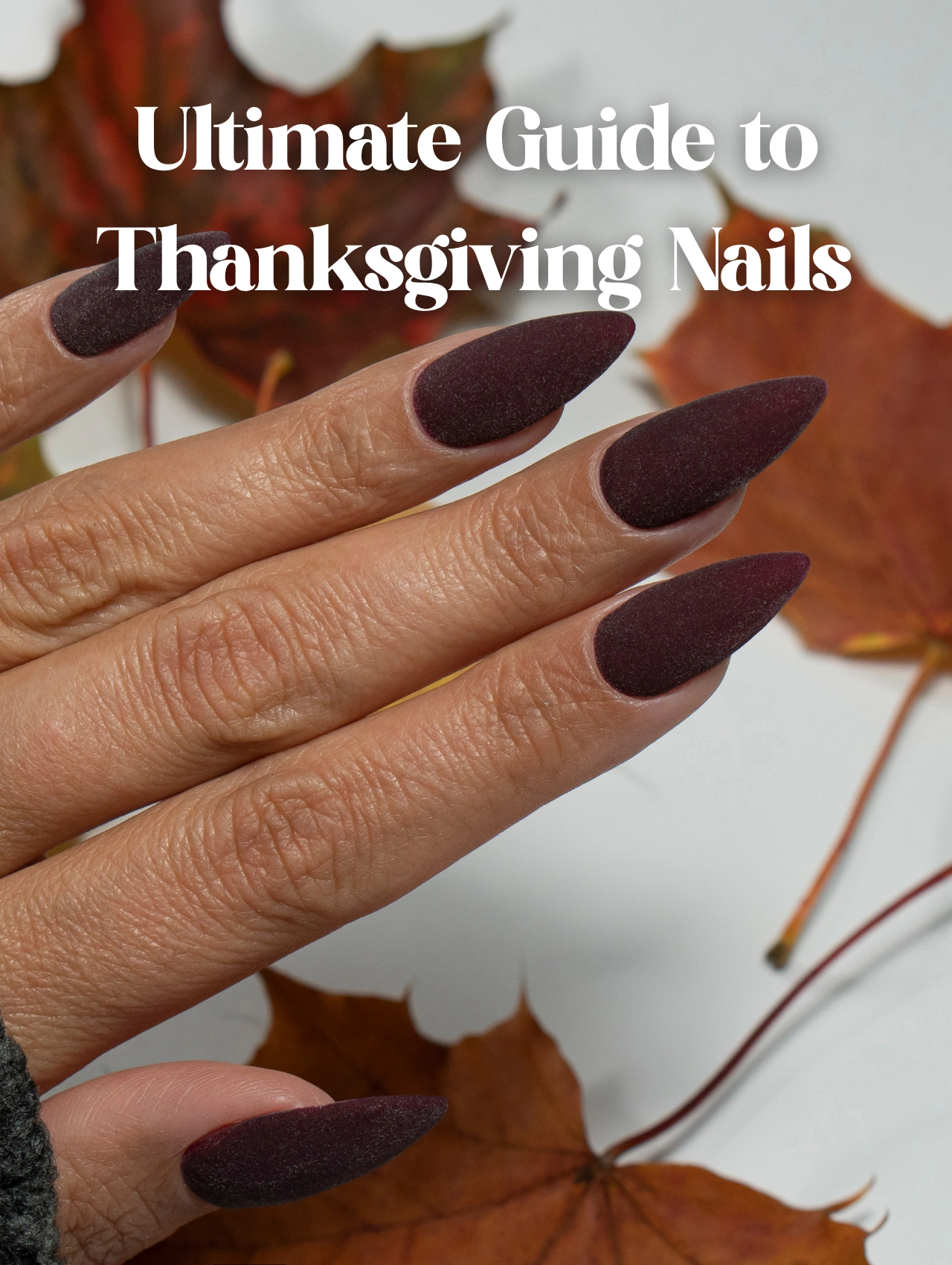 Hand with matte burgundy almond nails and fall leaves in the background, illustrating the Guide to Thanksgiving Nails concept.