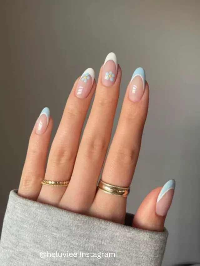 Baby Blue Petals