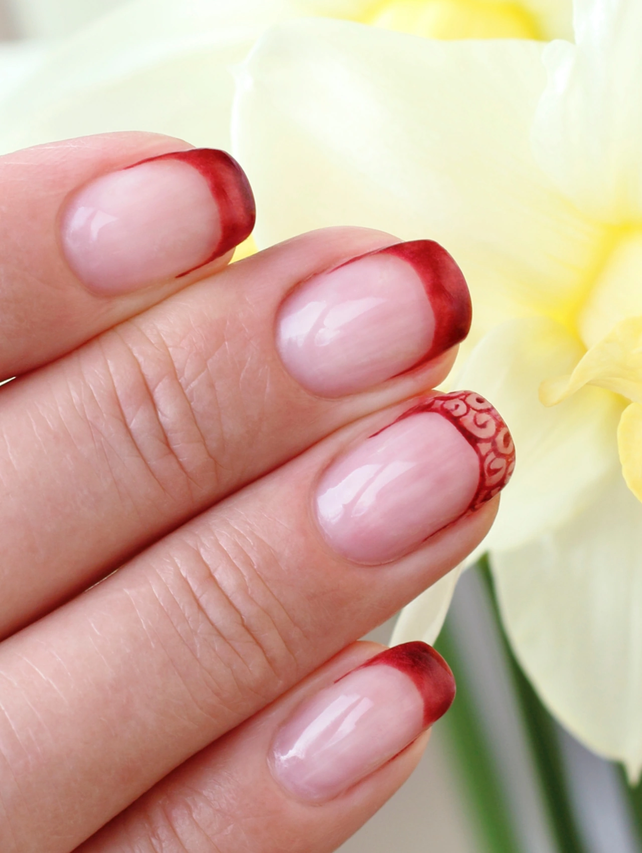 Berry French Tips January Nails with sheer pink base and deep red French tip design.