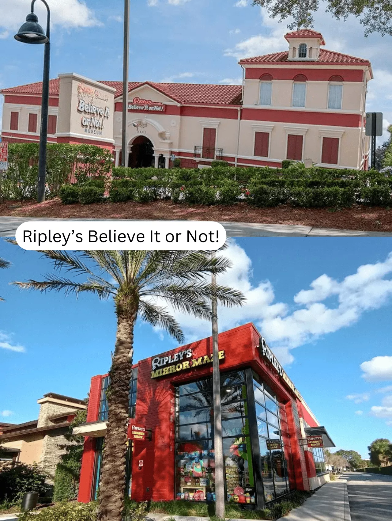 Things To Do In Orlando – Explore Ripley’s Believe It or Not! Museum and Mirror Maze, filled with oddities and interactive exhibits.