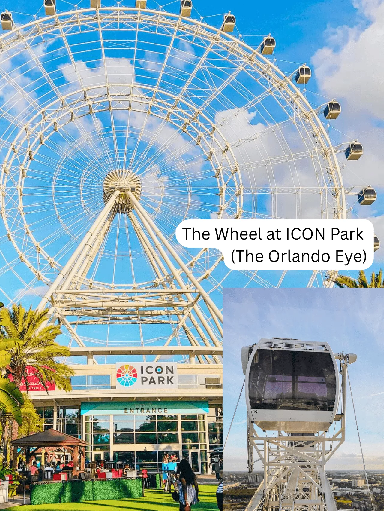 The Wheel at ICON Park (The Orlando Eye)