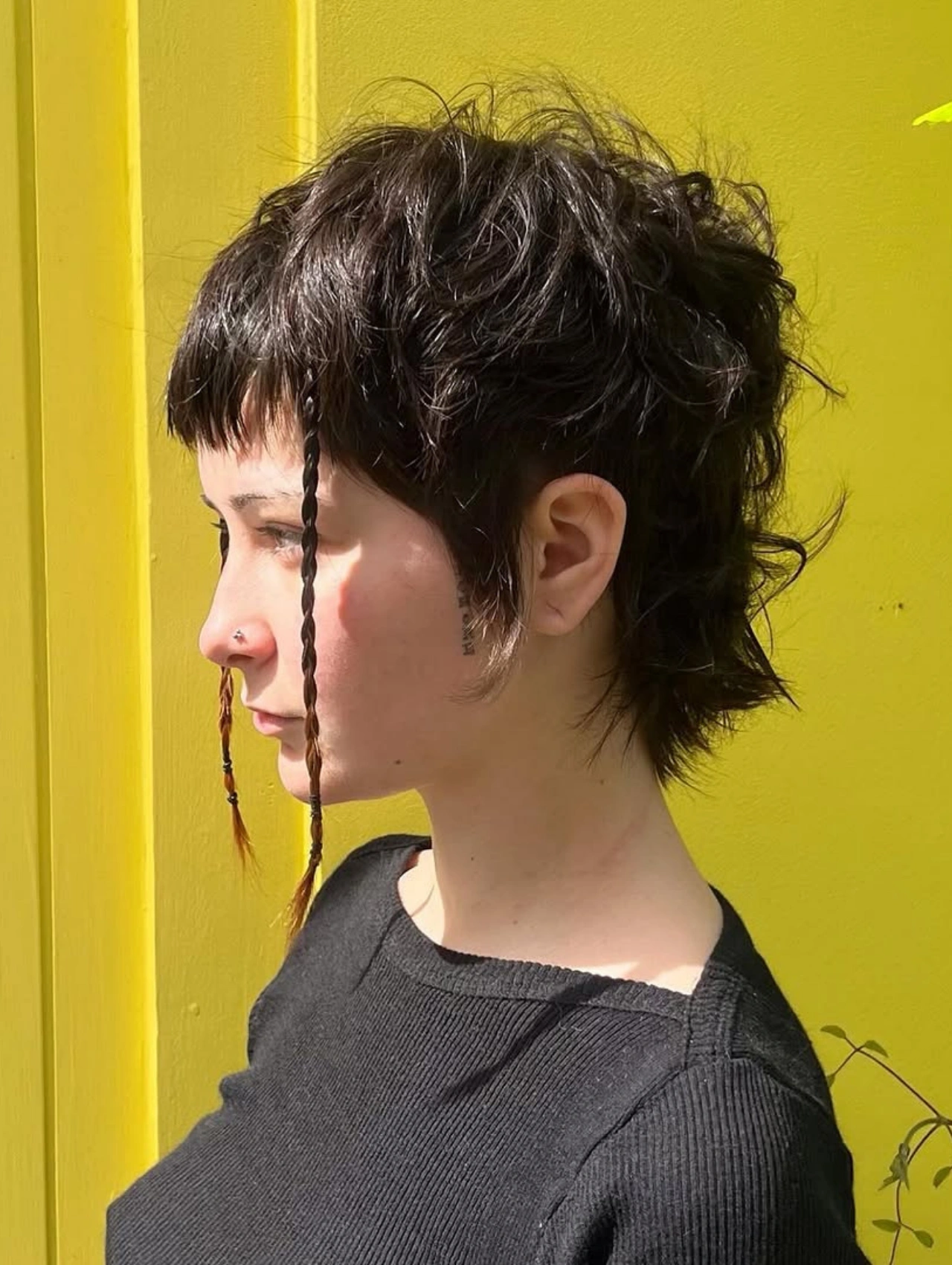 Woman with Edgy Shaggy Pixie Cut Hairstyle featuring braided strands in front.
