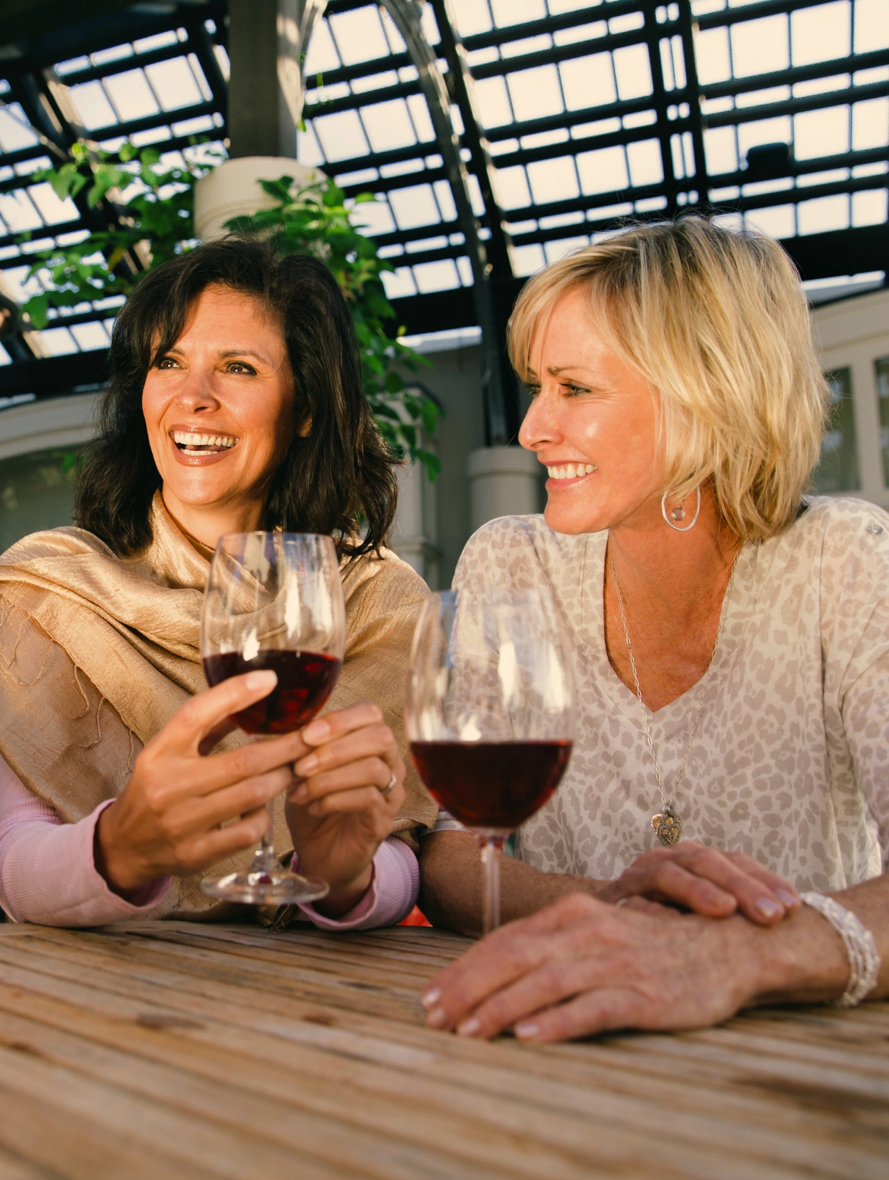 Dos mujeres maduras disfrutando de una copa de vino, simbolizando el respeto por la independencia en mujeres divorciadas en busca de pareja.